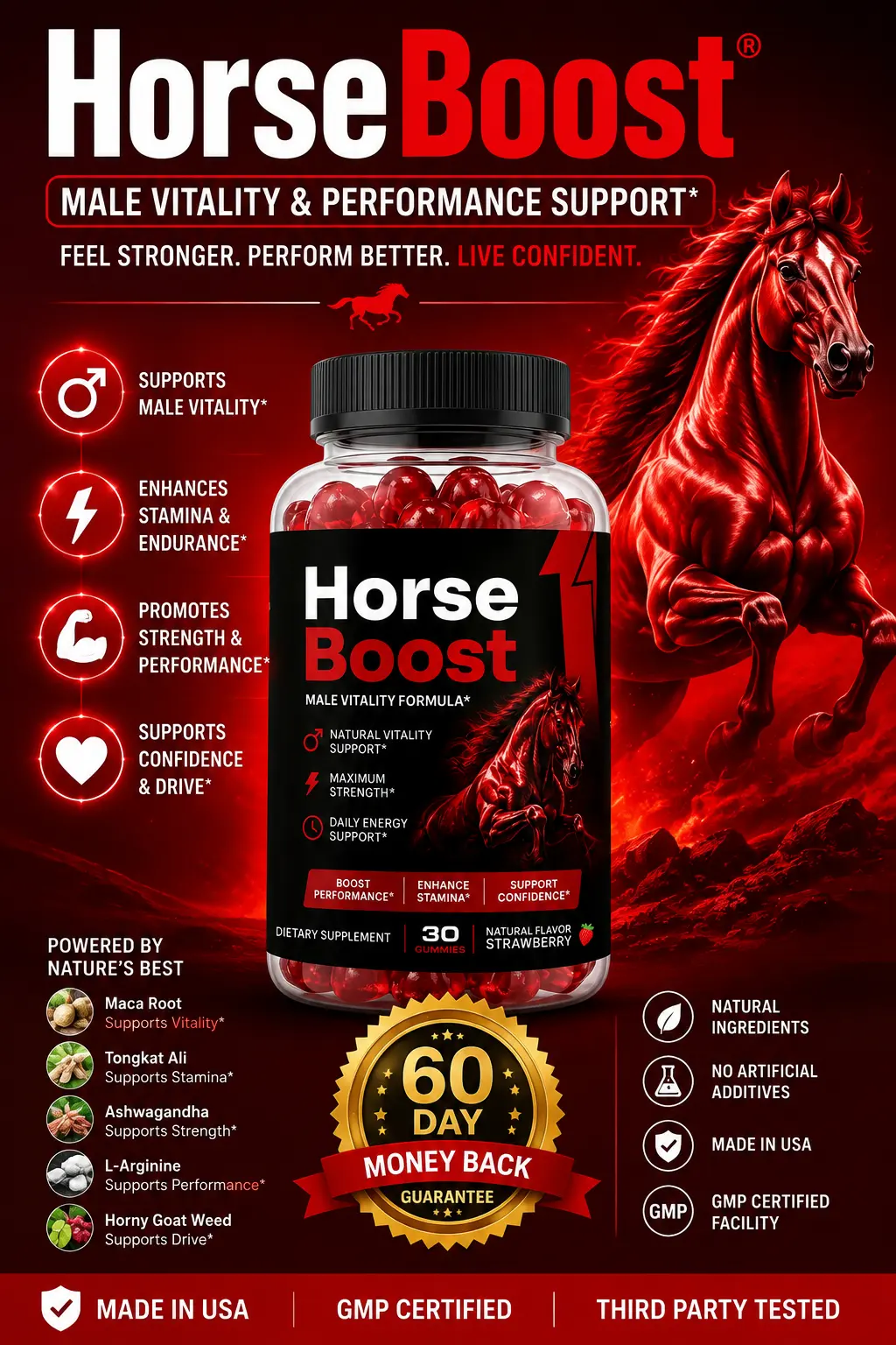 HorseBoost Male Vitality and Daily Wellness Supplement
